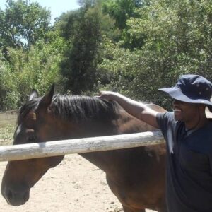 Book a Horse